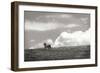 Horses in the Clouds I BW-Alan Hausenflock-Framed Photographic Print