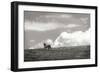 Horses in the Clouds I BW-Alan Hausenflock-Framed Photographic Print