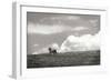 Horses in the Clouds I BW-Alan Hausenflock-Framed Photographic Print