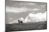 Horses in the Clouds I BW-Alan Hausenflock-Mounted Photographic Print