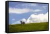 Horses in the Clouds I-Alan Hausenflock-Framed Stretched Canvas