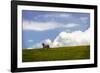 Horses in the Clouds I-Alan Hausenflock-Framed Photographic Print