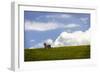 Horses in the Clouds I-Alan Hausenflock-Framed Photographic Print