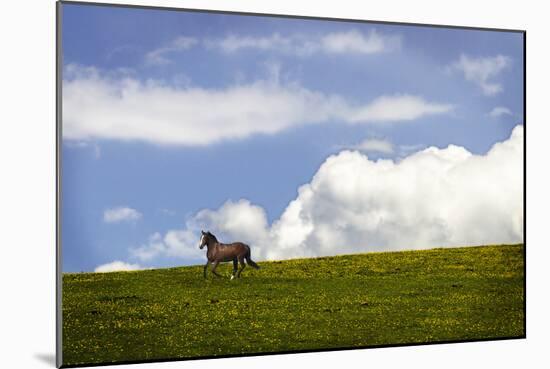 Horses in the Clouds I-Alan Hausenflock-Mounted Photographic Print