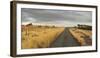 Horses in the Evening Sun, Gravel Road, Manawatu-Wanganui, North Island, New Zealand-Rainer Mirau-Framed Photographic Print