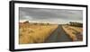 Horses in the Evening Sun, Gravel Road, Manawatu-Wanganui, North Island, New Zealand-Rainer Mirau-Framed Photographic Print