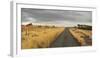 Horses in the Evening Sun, Gravel Road, Manawatu-Wanganui, North Island, New Zealand-Rainer Mirau-Framed Photographic Print