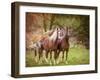 Horses in the Field I-Ozana Sturgeon-Framed Photographic Print