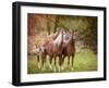 Horses in the Field I-Ozana Sturgeon-Framed Photographic Print