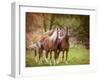 Horses in the Field I-Ozana Sturgeon-Framed Photographic Print