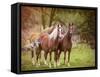 Horses in the Field I-Ozana Sturgeon-Framed Stretched Canvas