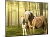 Horses in the Field II-Ozana Sturgeon-Mounted Photographic Print