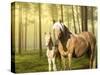 Horses in the Field II-Ozana Sturgeon-Stretched Canvas