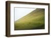 Horses in the fields at sunset, Monte Cucco Park, Apennines, Umbria, Italy, Europe-Lorenzo Mattei-Framed Photographic Print