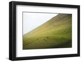 Horses in the fields at sunset, Monte Cucco Park, Apennines, Umbria, Italy, Europe-Lorenzo Mattei-Framed Photographic Print