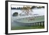 Horses in the Mist #3, Kentucky ‘08-Monte Nagler-Framed Photographic Print