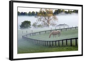 Horses in the Mist #3, Kentucky ‘08-Monte Nagler-Framed Photographic Print