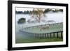 Horses in the Mist #3, Kentucky ‘08-Monte Nagler-Framed Photographic Print