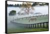 Horses in the Mist #3, Kentucky ‘08-Monte Nagler-Framed Stretched Canvas