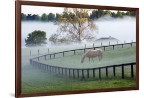 Horses in the Mist #3, Kentucky ‘08-Monte Nagler-Framed Photographic Print