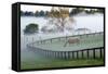 Horses in the Mist #3, Kentucky ‘08-Monte Nagler-Framed Stretched Canvas