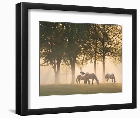 Horses in the Mist-Monte Nagler-Framed Art Print