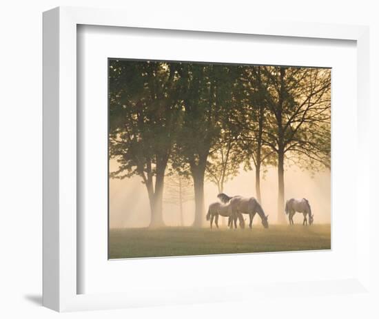 Horses in the Mist-Monte Nagler-Framed Art Print