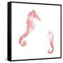 Horses In The Sea Coral-Milli Villa-Framed Stretched Canvas