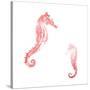 Horses In The Sea Coral-Milli Villa-Stretched Canvas