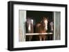 Horses in the Stable Door-accept-Framed Photographic Print