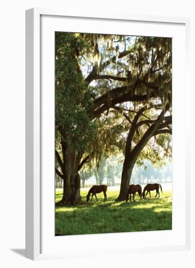 Horses in the Sunrise 5-Alan Hausenflock-Framed Photographic Print