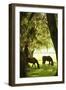 Horses in the Sunrise 6-Alan Hausenflock-Framed Photographic Print