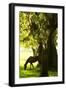 Horses in the Sunrise 7-Alan Hausenflock-Framed Photographic Print