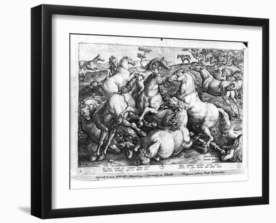 Horses in the Wild-Jan van der Straet-Framed Giclee Print