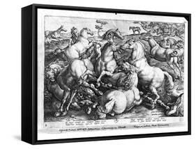 Horses in the Wild-Jan van der Straet-Framed Stretched Canvas