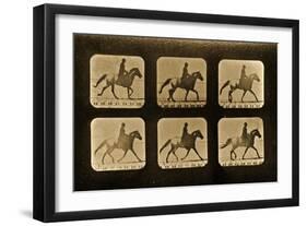 Horses. Irregular, 'Animal Locomotion' Series, C.1881-Eadweard Muybridge-Framed Giclee Print