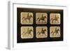 Horses. Irregular, 'Animal Locomotion' Series, C.1881-Eadweard Muybridge-Framed Giclee Print