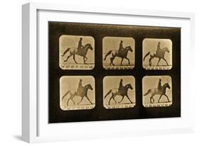 Horses. Irregular, 'Animal Locomotion' Series, C.1881-Eadweard Muybridge-Framed Giclee Print