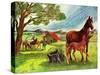 Horses - Jack & Jill-Virginia Mann-Stretched Canvas