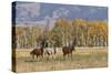 Horses just outside, Grand Teton National Park, Wyoming-Adam Jones-Stretched Canvas