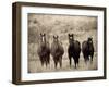 Horses, Montana, USA-Russell Young-Framed Photographic Print