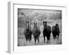Horses, Montana, USA-Russell Young-Framed Photographic Print