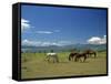 Horses Next to Lake Naivasha, Rift Valley, Kenya, East Africa, Africa-Nigel Callow-Framed Stretched Canvas