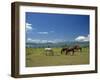 Horses Next to Lake Naivasha, Rift Valley, Kenya, East Africa, Africa-Nigel Callow-Framed Photographic Print