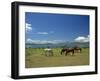 Horses Next to Lake Naivasha, Rift Valley, Kenya, East Africa, Africa-Nigel Callow-Framed Photographic Print