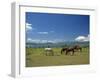 Horses Next to Lake Naivasha, Rift Valley, Kenya, East Africa, Africa-Nigel Callow-Framed Photographic Print