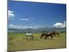 Horses Next to Lake Naivasha, Rift Valley, Kenya, East Africa, Africa-Nigel Callow-Mounted Photographic Print