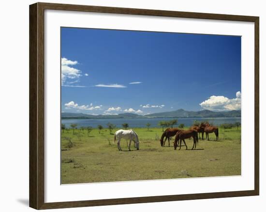 Horses Next to Lake Naivasha, Rift Valley, Kenya, East Africa, Africa-Nigel Callow-Framed Photographic Print