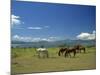 Horses Next to Lake Naivasha, Rift Valley, Kenya, East Africa, Africa-Nigel Callow-Mounted Photographic Print