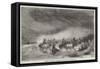 Horses of the Crimea in a Winter Storm on the Black Sea-null-Framed Stretched Canvas
